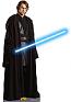 Anakin Skywalker Cardboard Standee