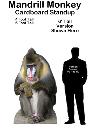 Mandrill Monkey Cardboard Cutout Standup Prop