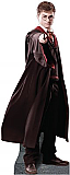 Harry Potter Cardboard Cutout Standup