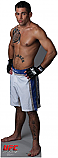 Joe Brammer - UFC Cardboard Cutout Standup Prop